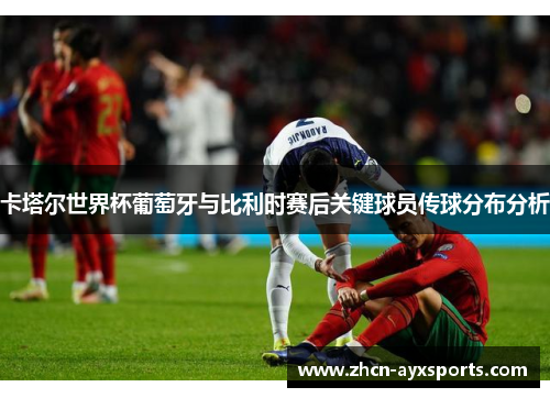 卡塔尔世界杯葡萄牙与比利时赛后关键球员传球分布分析