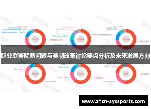 职业联赛降薪问题与赛制改革讨论要点分析及未来发展方向