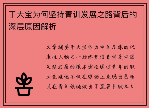 于大宝为何坚持青训发展之路背后的深层原因解析